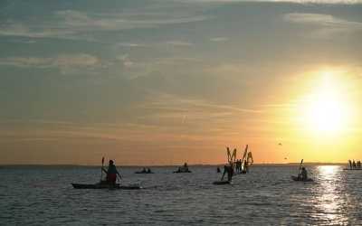 Jastarnia - obóz studencki Windsurfing 18+ OW Kamil, 4 dni 18-35 lat